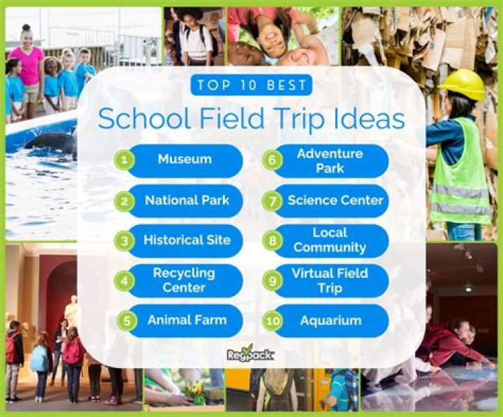 Are field trips bad for students?