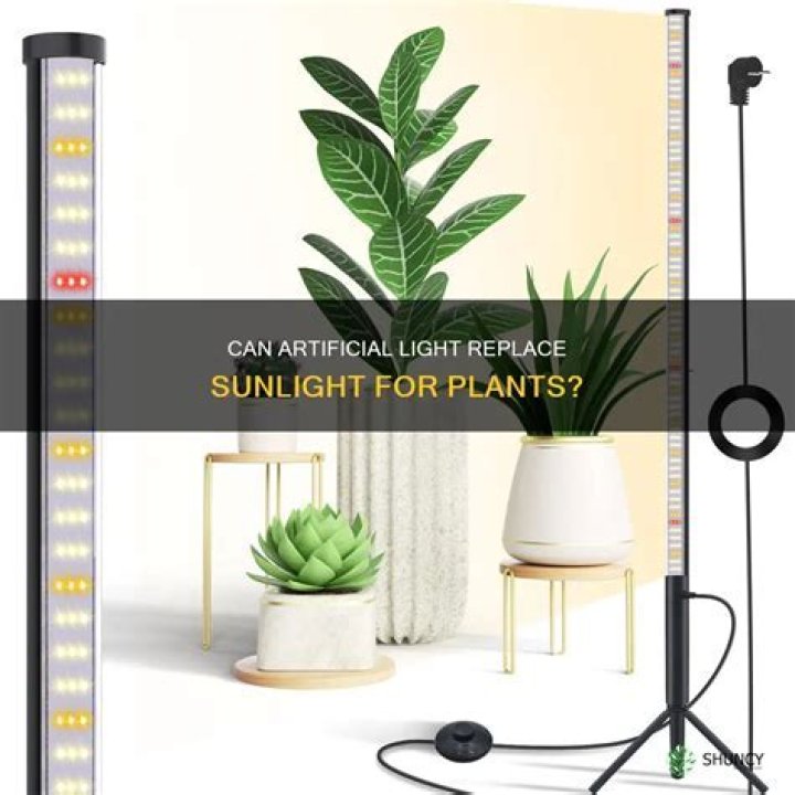 Can light bulb replace sunlight?