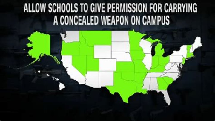 Can you conceal carry on school grounds in Ohio?
