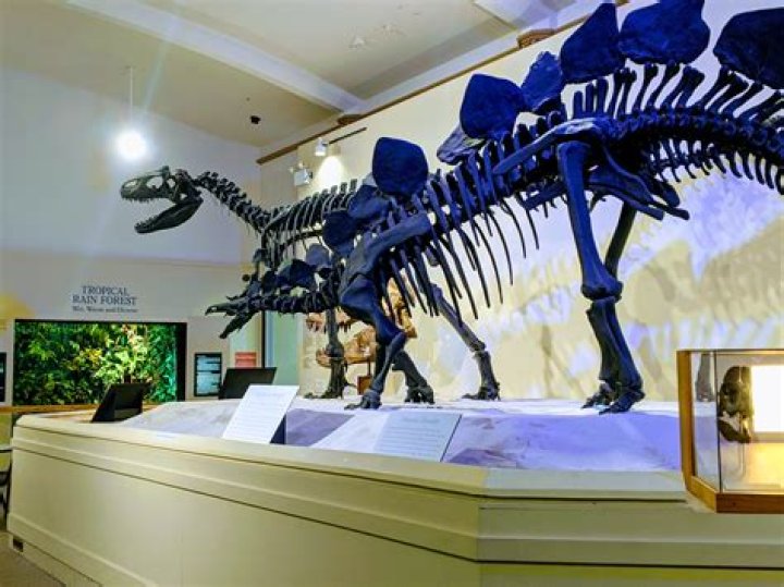 Does Lansing Michigan have museums?