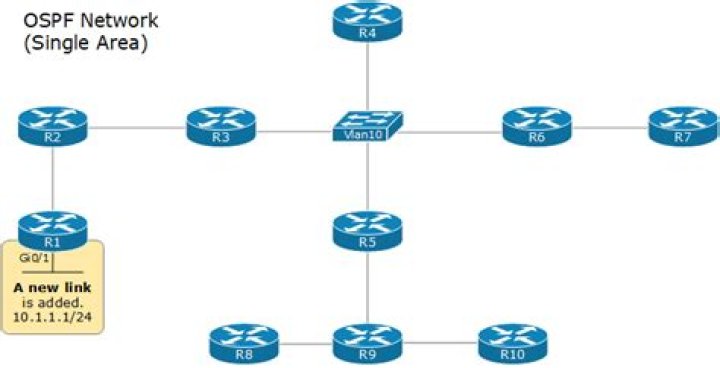 Does OSPF support ECMP?