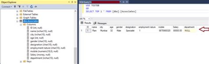 How do I add text to a table in SQL?