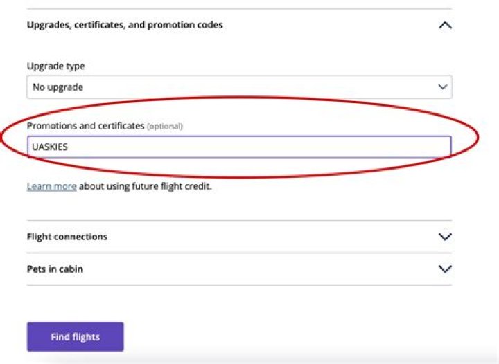 How do I enter a promo code on United?