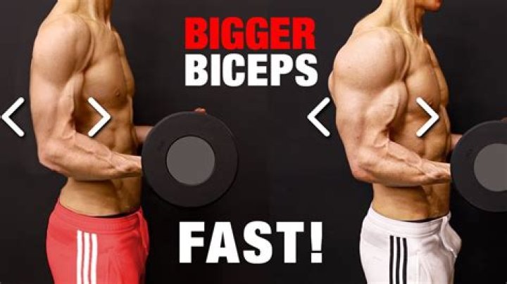How do you increase biceps and triceps size fast?