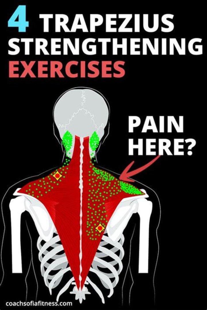 How do you relieve chronic trapezius pain?