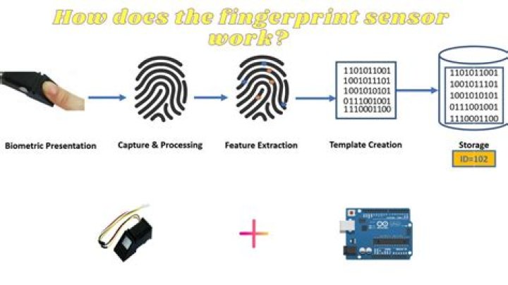 How does finger print sensors work?