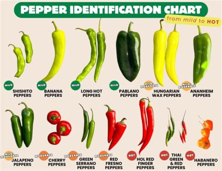 How hot are Hinkelhatz peppers?