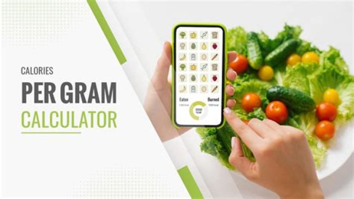 How many calories are in a Panner?