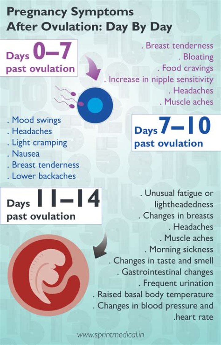 How many days after ovulation will pregnancy test show?