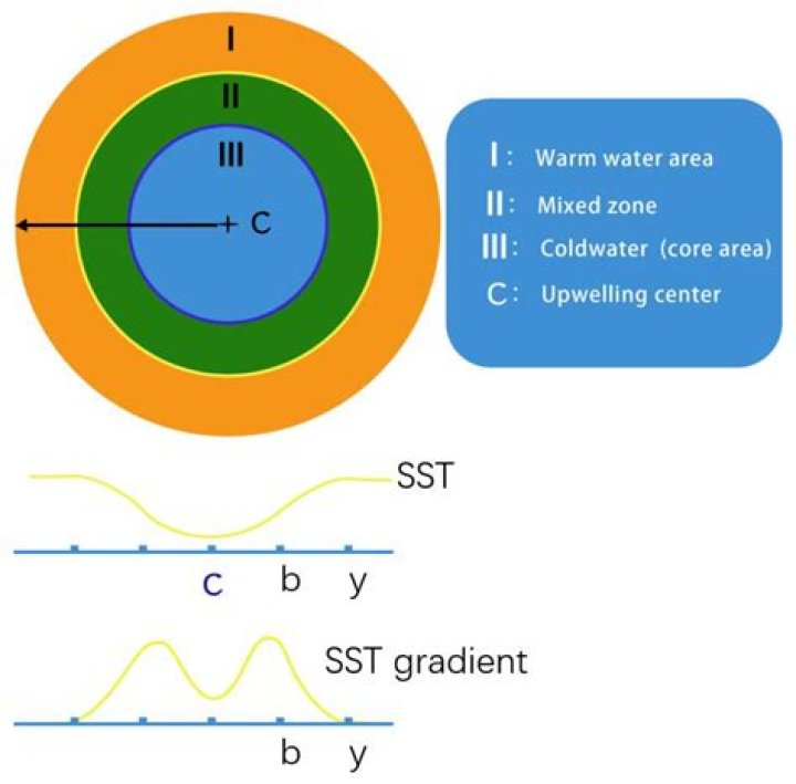 How much has sea surface temperature increased?