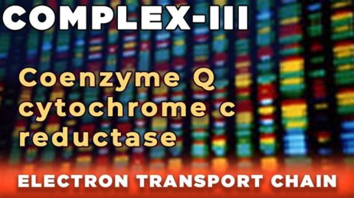 Is cytochrome c reduced in complex 3?