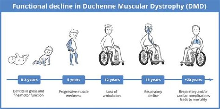 Is DMD an orphan disease?