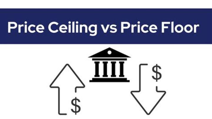 What are government enforced price ceilings and price floors?