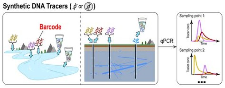 What are tracers in chemistry?