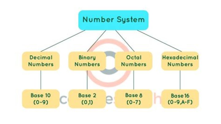 What comes in number system in CAT?