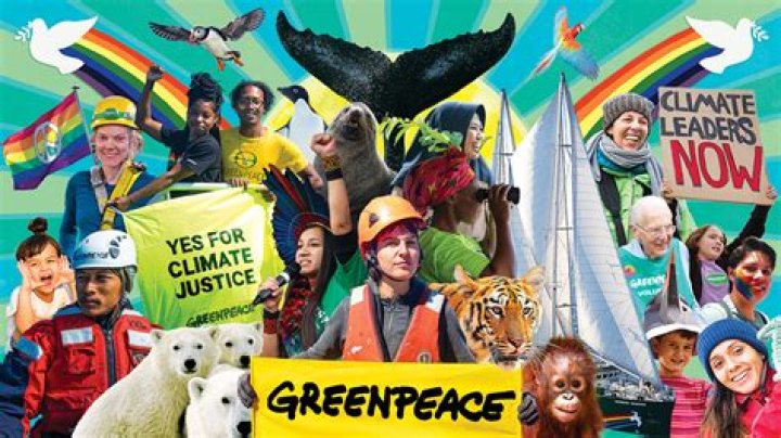 What does the green movement do?