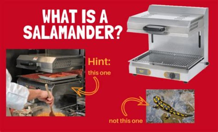 What is a salamander in kitchen?