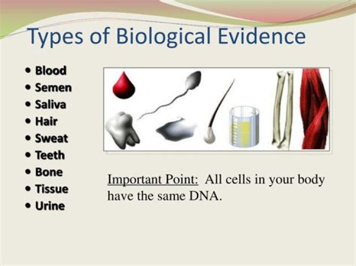 What is biological evidence?