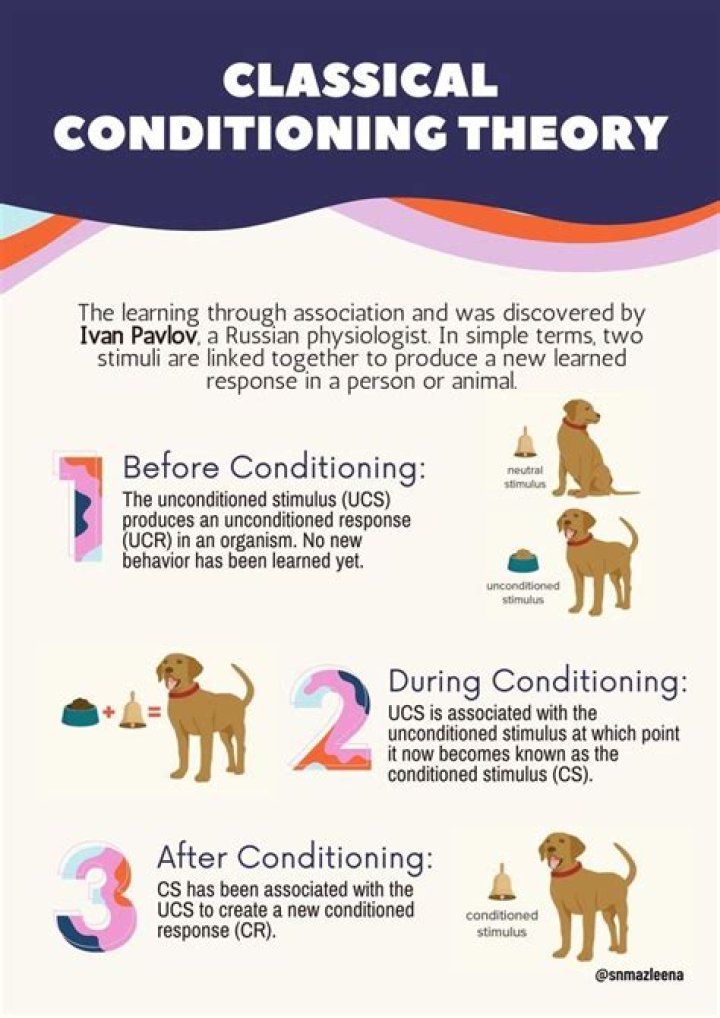 What is classical conditioning in psychology essay?