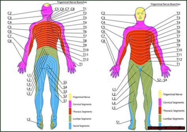 What is commonly referred to as the SIG?