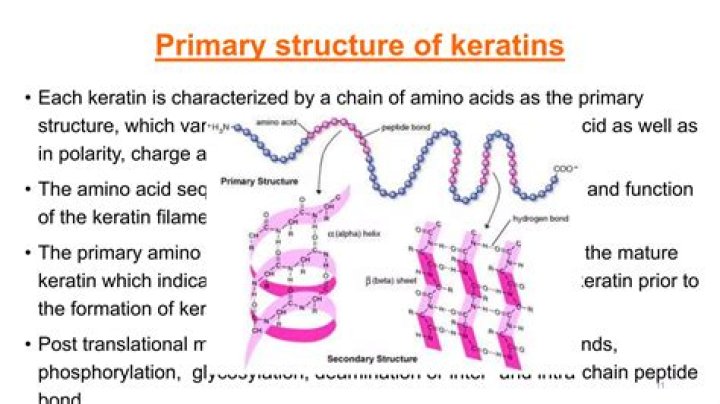 What is keratin function?