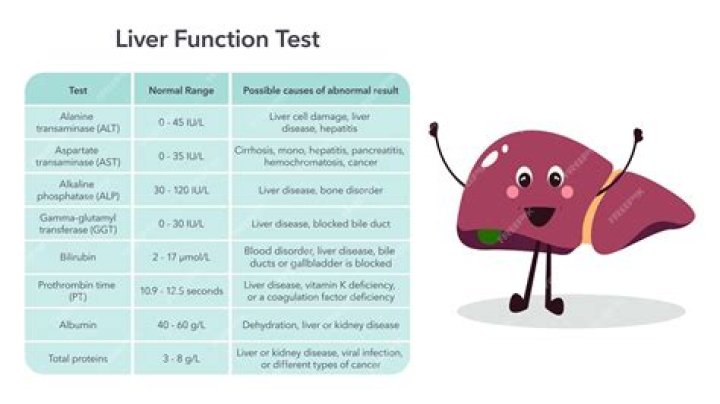 What is liver function test in biochemistry?