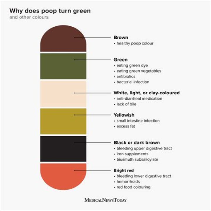 What is meaning of green paper?