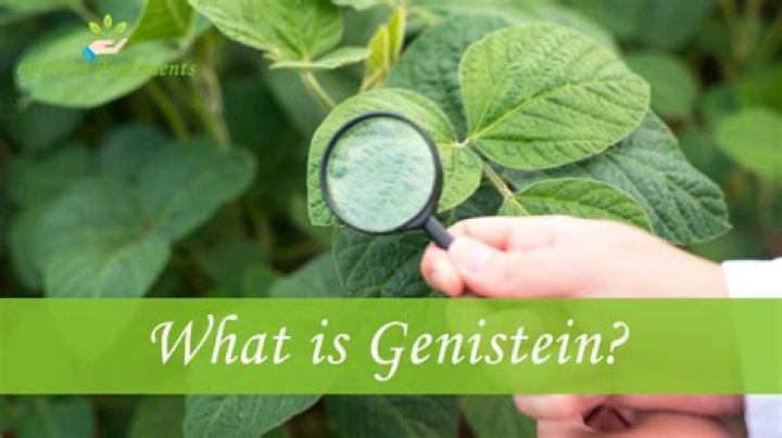 What is non soy genistein?