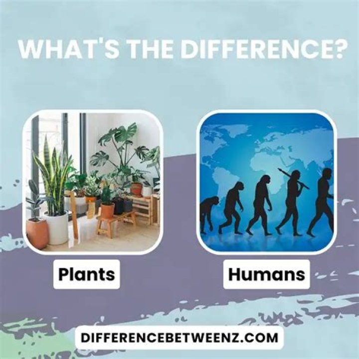 What is the difference between plants and humans?