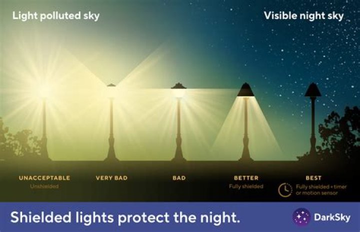 What is the highest light level in Destiny 2 right now?