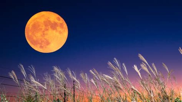 What is the meaning behind the term Harvest Moon?