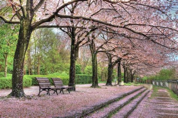 What is the most beautiful park in London?
