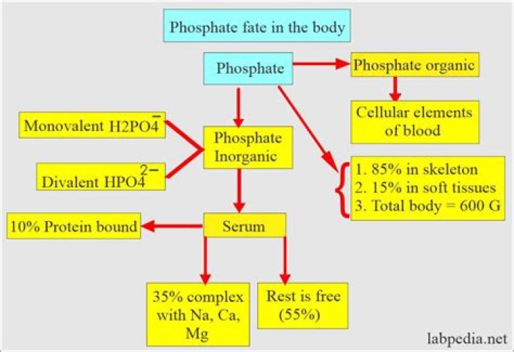 What is the normal level of phosphate in water ppm?