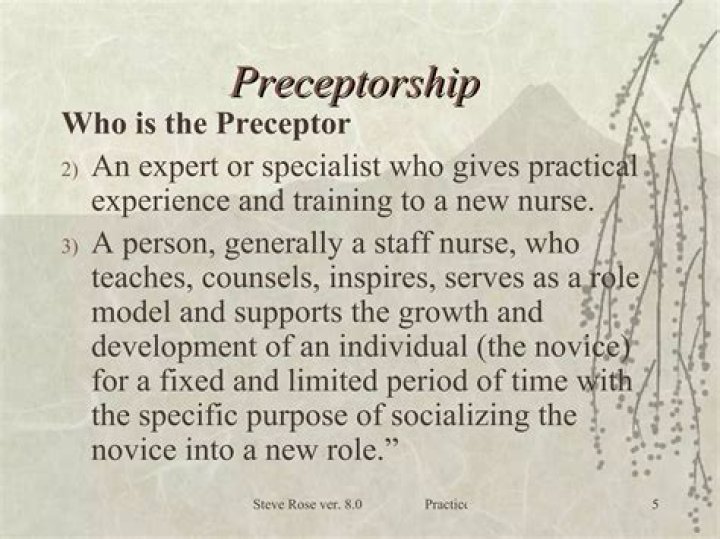 What makes a great nursing preceptor?