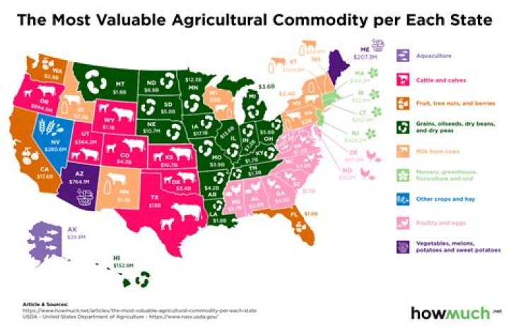 What region has the best agriculture?