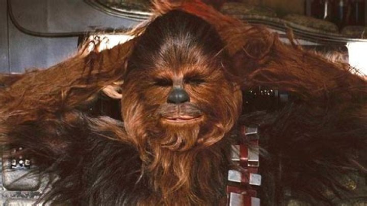 Why does Chewbacca wear a bandolier?